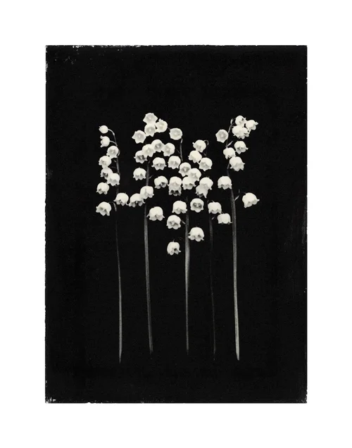 Exhibition] Sachiko Morita / Time in Air, Time in Paper — POST